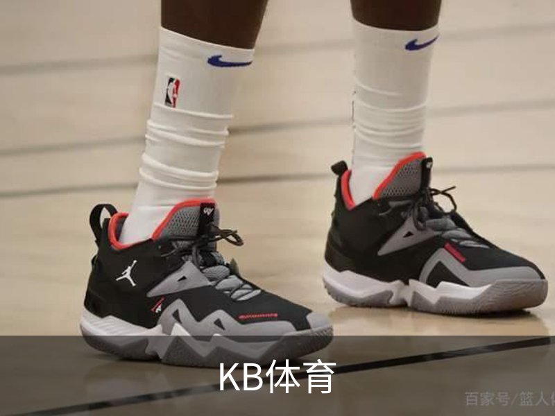 KB体育·(中国)官方网站-KBSPORTS